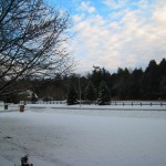 img_19801