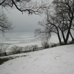 img_3071 img_3071