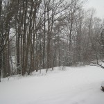 img_4785