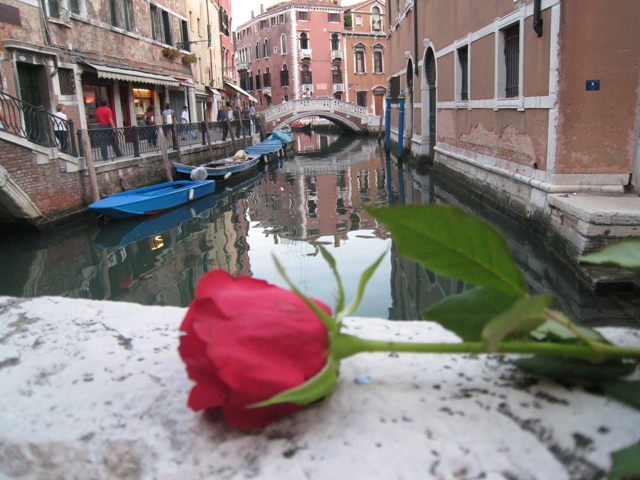 img_85841 img_85841