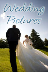 Wedding Pictures Wedding Pictures