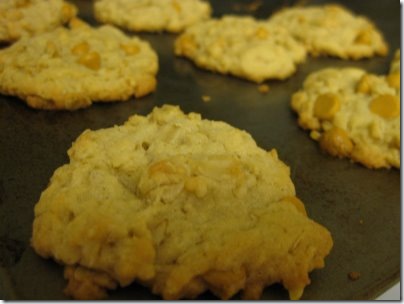 Kara oatmeal butterscotch cookies