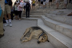 athens10