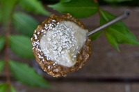 20100910IMG_2810_thumb