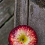 20100824-IMG_1017