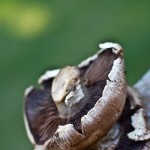 20100824-IMG_1177