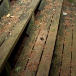 20100909-IMG_2792