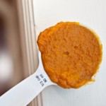 20100910-IMG_7116