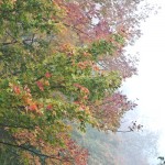 20100930-IMG_3664