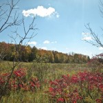 20101007-IMG_2157