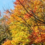 20101007-IMG_4495