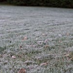 20101013-IMG_5970