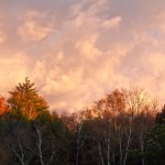 20101015-IMG_6357