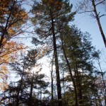 20101017-IMG_7366