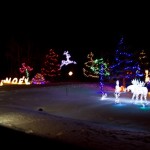 20101128-IMG_3623