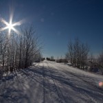 20101129-IMG_3889