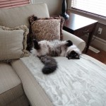 DSC00030