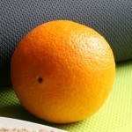 IMG_0284