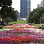 IMG_0378