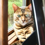 IMG_1331