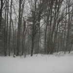 IMG_1364