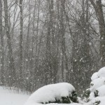 IMG_1543