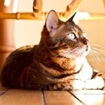 IMG_2111 IMG_2111