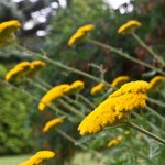 IMG_2886
