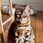 IMG_3033-2