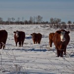 IMG_3871