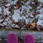 IMG_5182