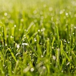 IMG_6742 IMG_6742