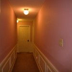IMG_7373 (2)