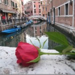 IMG_8584