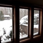 IMG_9384