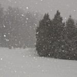 IMG_9403
