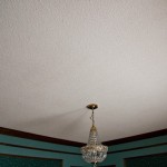 IMG_9503