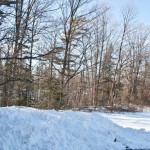 IMG_9972 IMG_9972