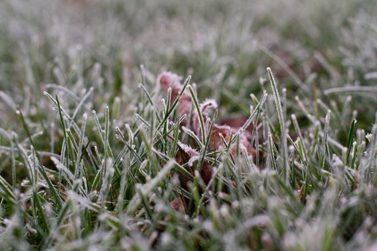IMG_3981 IMG_3981