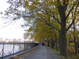 IMG_0132 IMG_0132