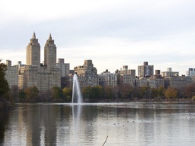 IMG_0133 IMG_0133