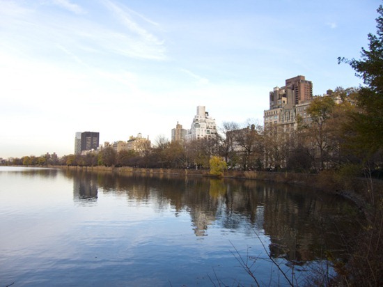 IMG_0135 IMG_0135