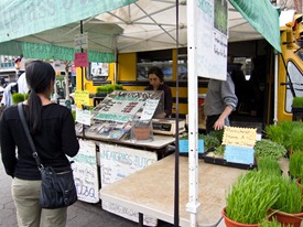 IMG_0410 IMG_0410