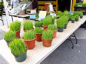 IMG_0411 IMG_0411