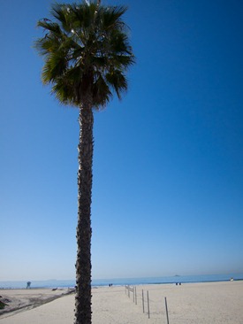 IMG_0752 IMG_0752