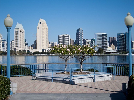 IMG_0764 IMG_0764