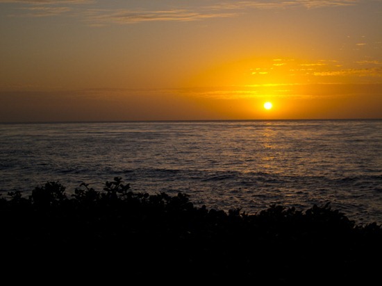 IMG_0886 IMG_0886
