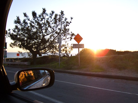 IMG_0951 IMG_0951