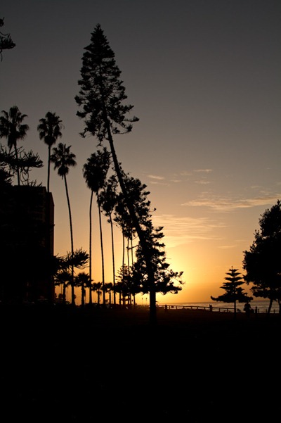 IMG_5200 IMG_5200