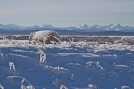 IMG_4124
